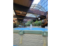 m-hotel-buffalo-small-0